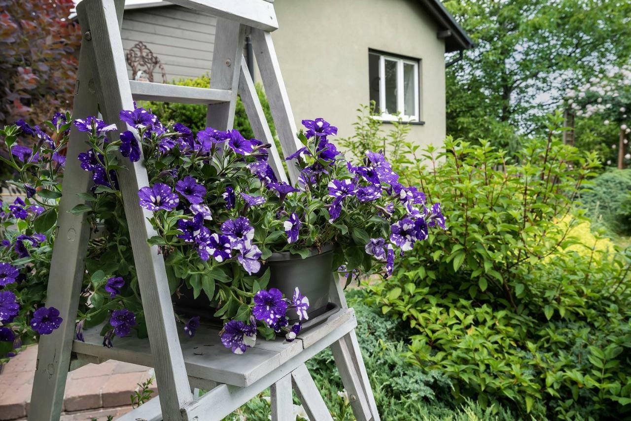 Green House - Two Bedroom Apartment Bielsko-Biała Eksteriør billede